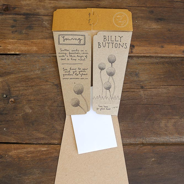 Billy Buttons - Gift of Seeds