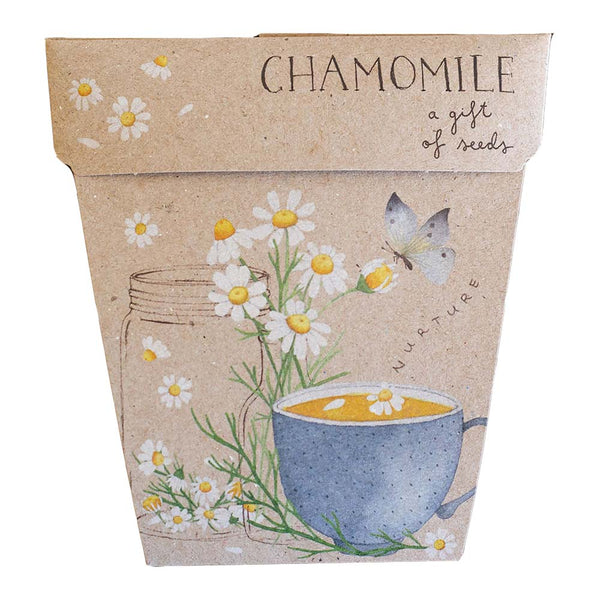 Chamomile - Gift of Seeds