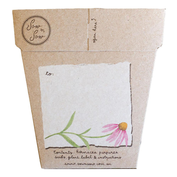 Echinacea - Gift of Seeds