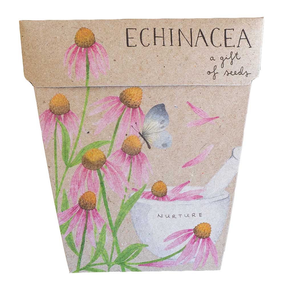 Echinacea - Gift of Seeds