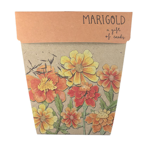 Marigolds - A Gift of Seeds