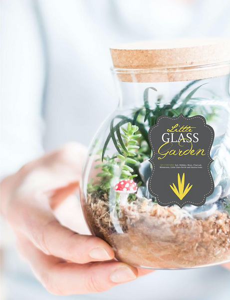 Little Glass Garden Kit
