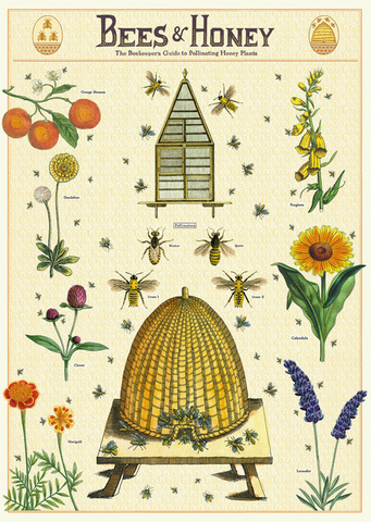 Cavallini Poster/Gift Wrap – Bees & Honey