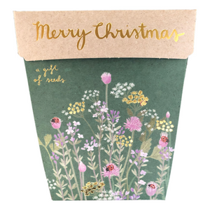 Gift of Seeds - Christmas Herbs
