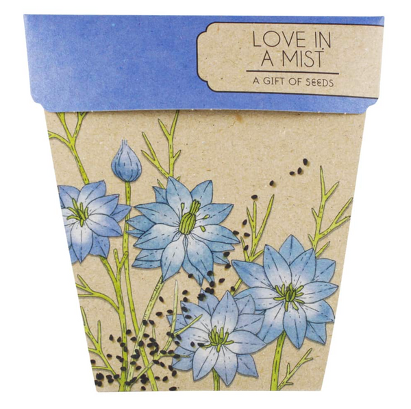 Love in a Mist - Gift of Seeds