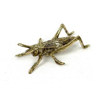 Brass grasshopper