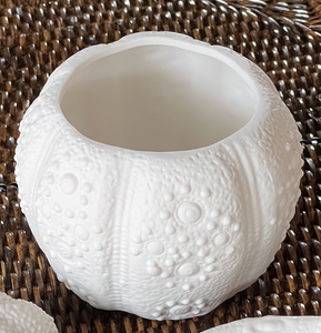 Ceramic Urchin Vase