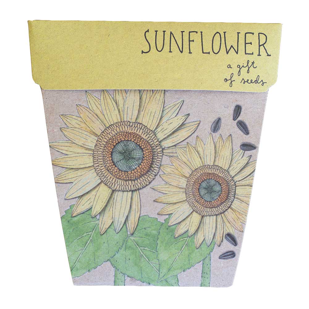 Sunflowers - Gift of Seeds